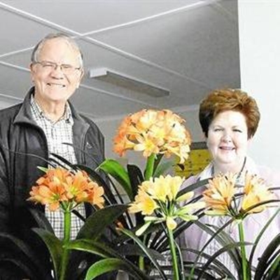 Clivia Club Show a must