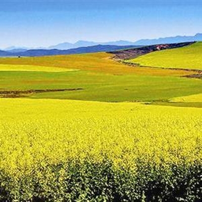Fotogalery skud vere reg vir September-uitstalling