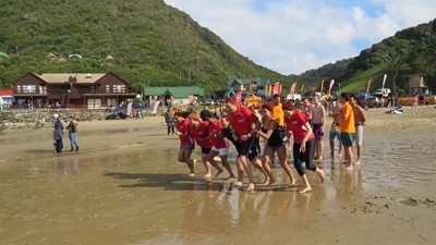 Polar Bear Plunge takes breath away