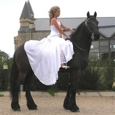 A horse ride to happiness