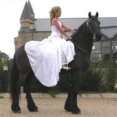 A horse ride to happiness