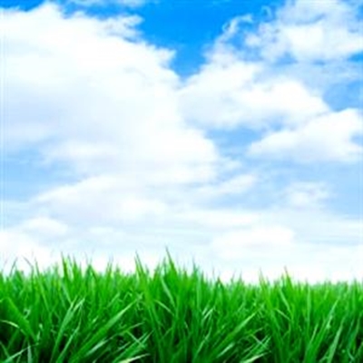 Hou jou grasperk ‘groen’