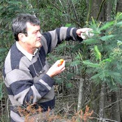 NMMU staff and students address alien plant threat