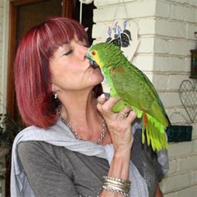 Voël wings his way to love