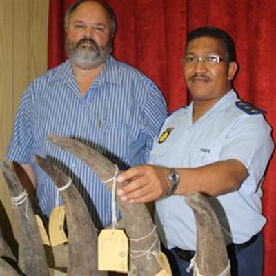 Twee aangekeer met renosterhorings