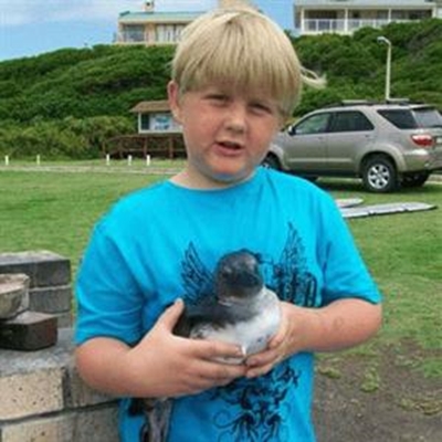 Boy rescues endangered  penguin