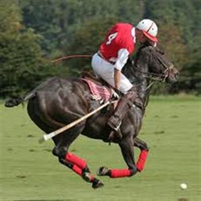 It’s polo season!