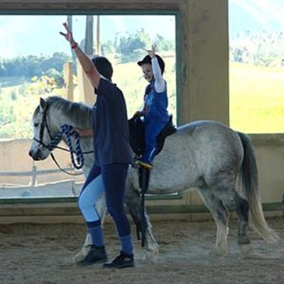 Miracles through equine therapy