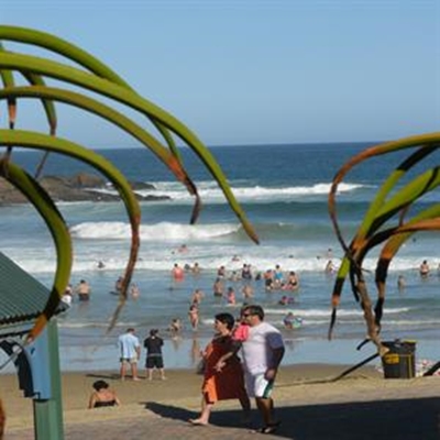Bare-faced cheek angers beach-goers