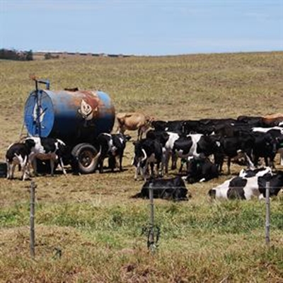 Ongoing drought in Southern Cape huge concern