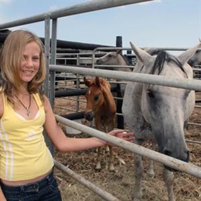 Arabiere en Percherons opgeveil