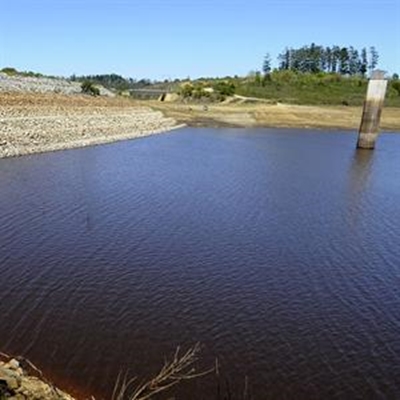 Water consumption must come down by 40%