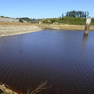 Water consumption must come down by 40%