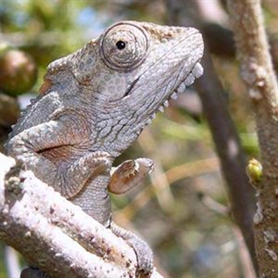 Photo competition celebrates biodiversity
