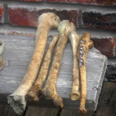 Beendere op plaas gevind