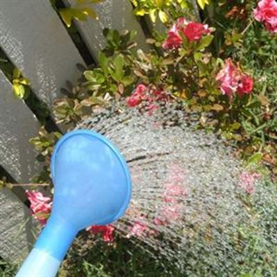 Restrictions on borehole water