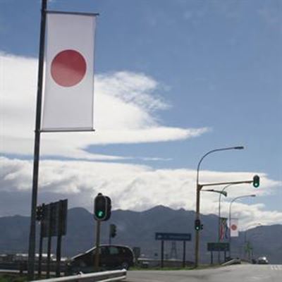 2010 flags go aflying