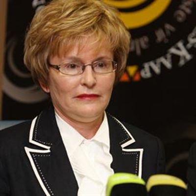 Zille kry regsmening oor Africa-aanstelling