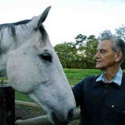 Beloved horse killed with rifle