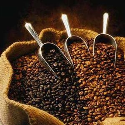 Workshops for coffee and food lovers