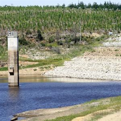 Dam level up 50% since 1 June
