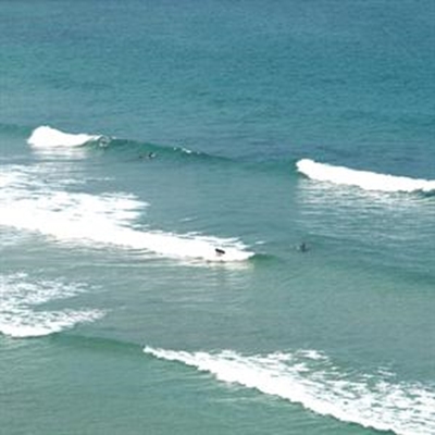 Cell phone saves surf skiers