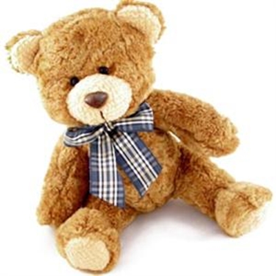 Teddy Bear Care