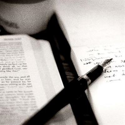 New study programmes at BSU George