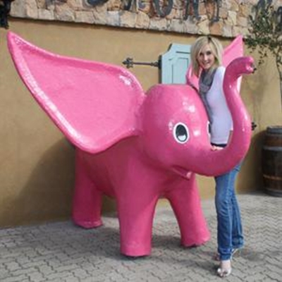 Herrie is pienk van plesier