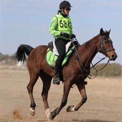 Georgians at  endurance ride