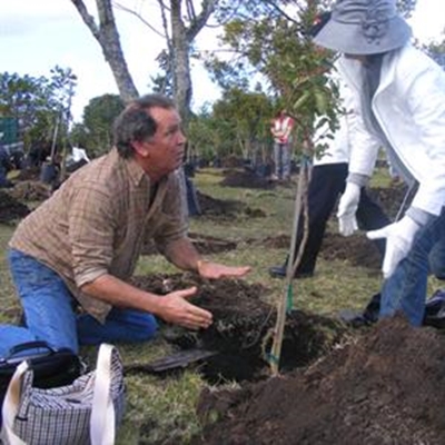 Plant a tree for Arbour Week