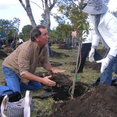 Plant a tree for Arbour Week
