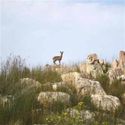 Geological wonders discovered