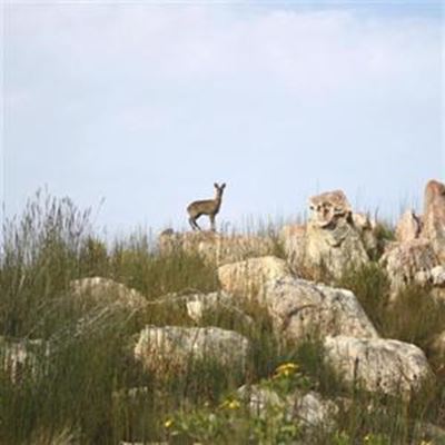 Geological wonders discovered