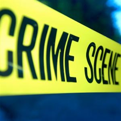 Crime wave in Sedgefield