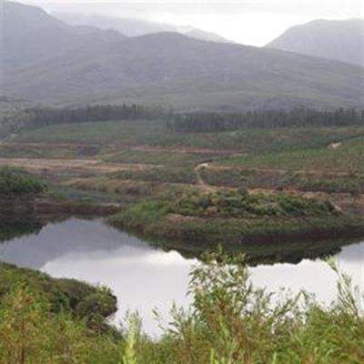 Drie droë maande lê en wag