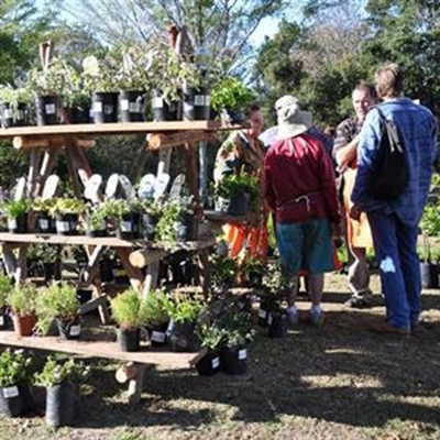 Fantastic fynbos festival