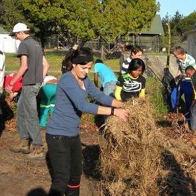 ‘King of the compost heap’ shows how 