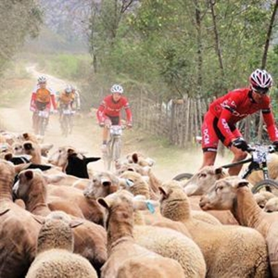 Laat die groot trek begin 
