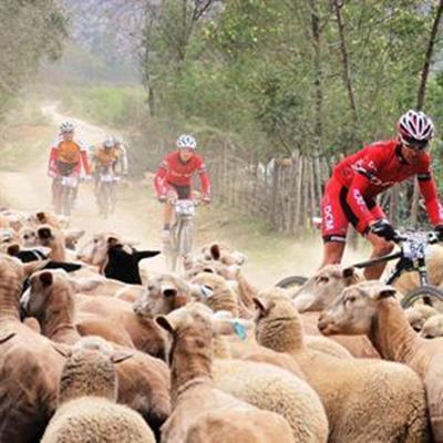 Laat die groot trek begin 