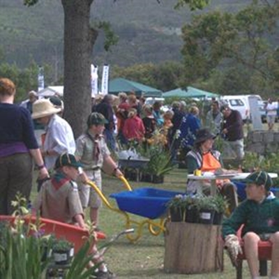 Fynbos Eco Festival 