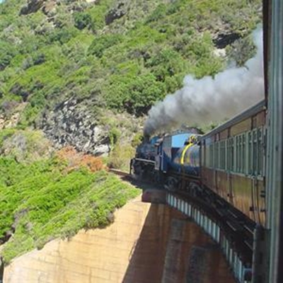 Outeniqua Choo-Tjoe’s future