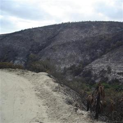 Veld fires the land owner's responsibility