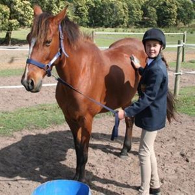 Achievements of local riders awarded