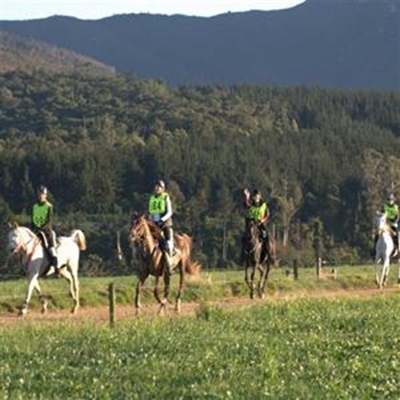 Local riders show their steel in tough ride
