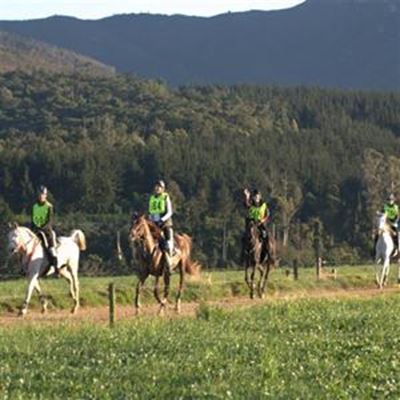 Local riders show their steel in tough ride