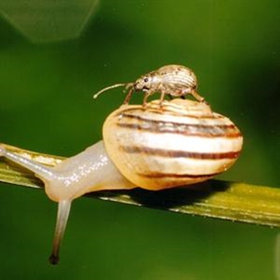 Dana Bay Conservancy photo  competition winners announced