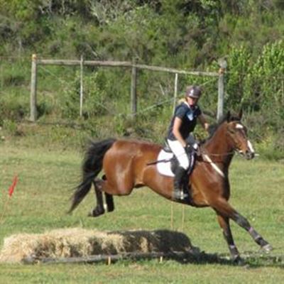 Quarry Lake training show results