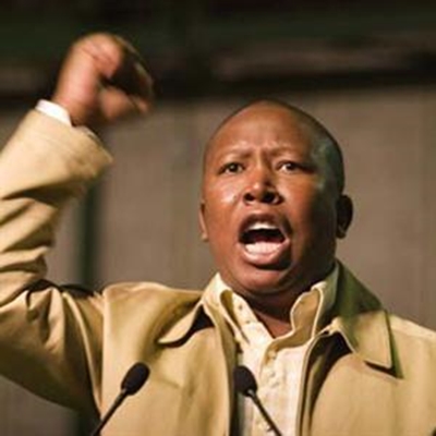 Malema to become cattle farmer