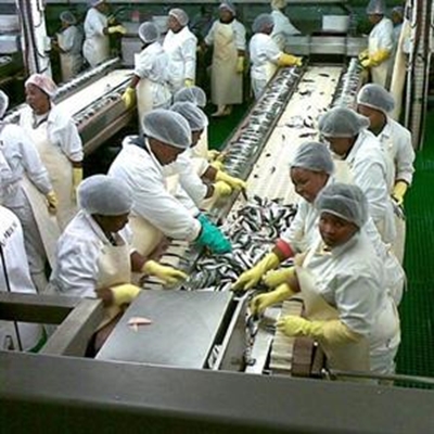 Die Afro visfabriek - trots Mosselbaai